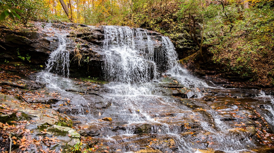 Big Canoe Atlanta Forrest Mountain