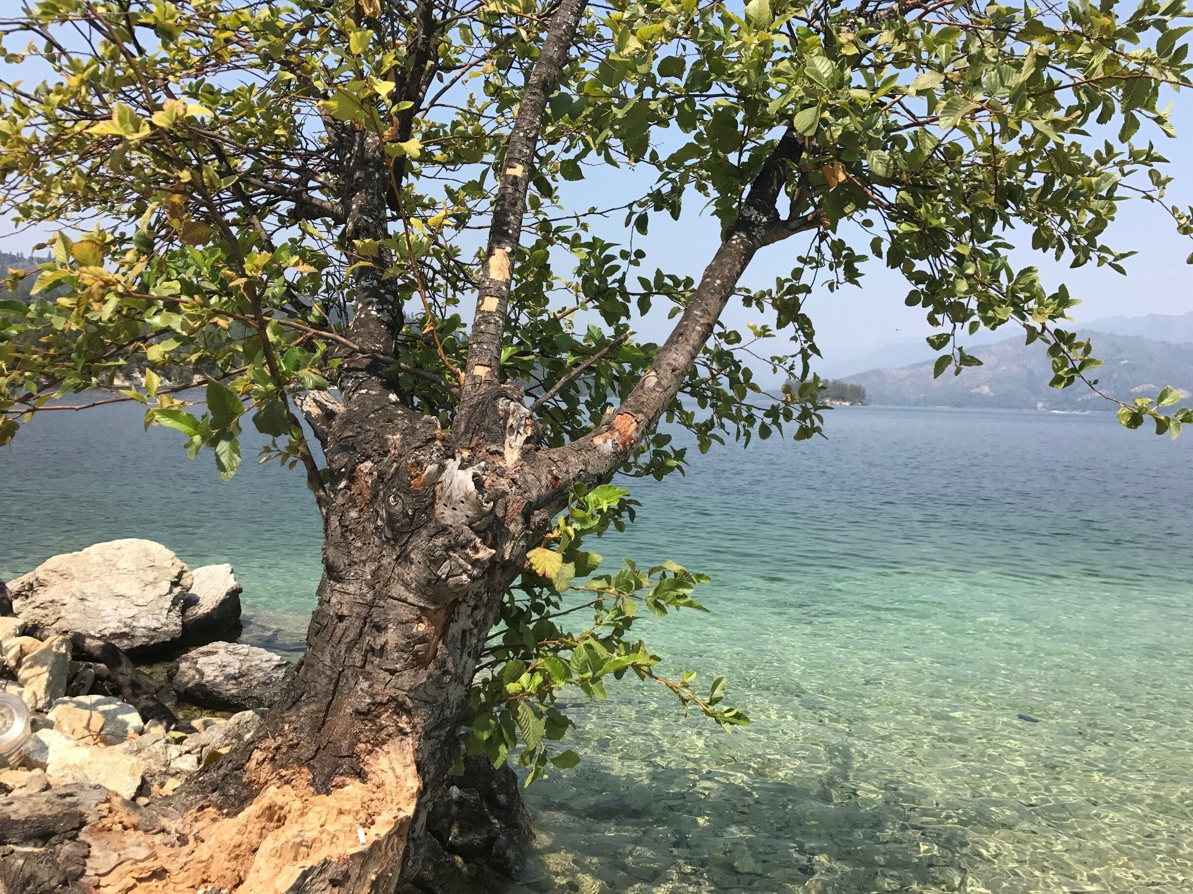 If you go along the bridge just beyond Paige road park on the right 