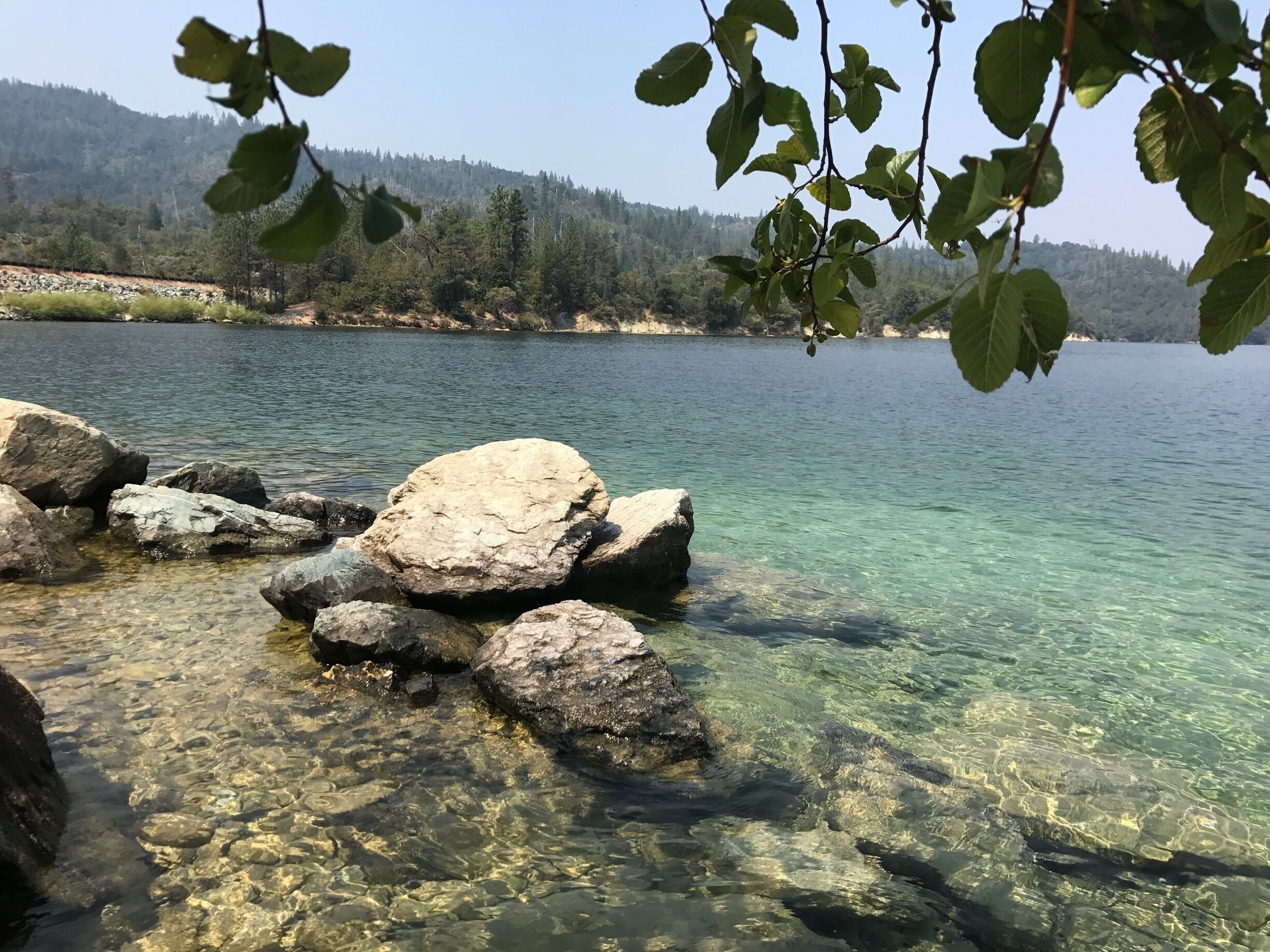 Just beyond the plaque 