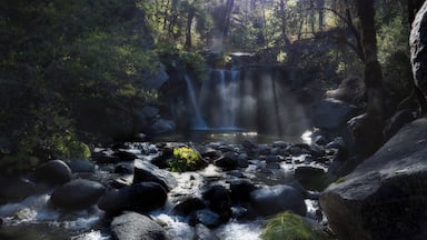 The I-5 corridor in northern California can be pretty bleak in the summer months, but you can still find an oasis here and there. This one is west of Redding, maybe about a half-hour off the Interstate. Drive west on highway 299, past Whiskytown Lake and look for a sign for Crystal Creek. This multi-tiered waterfall surrounded in green is just the thing!
TRAVEL TIP: Have a long, overnight flight coming up? Check out the various travel pillows that let you lean forward and plant your face into them! I used one on my last trip to India, and was amazed at how well I slept!
#California #waterfall #escape #lifeatexpedia