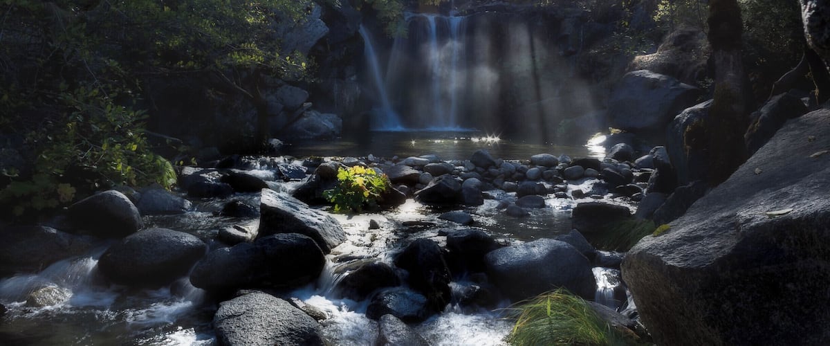 A forested area with a waterfall and a stream.