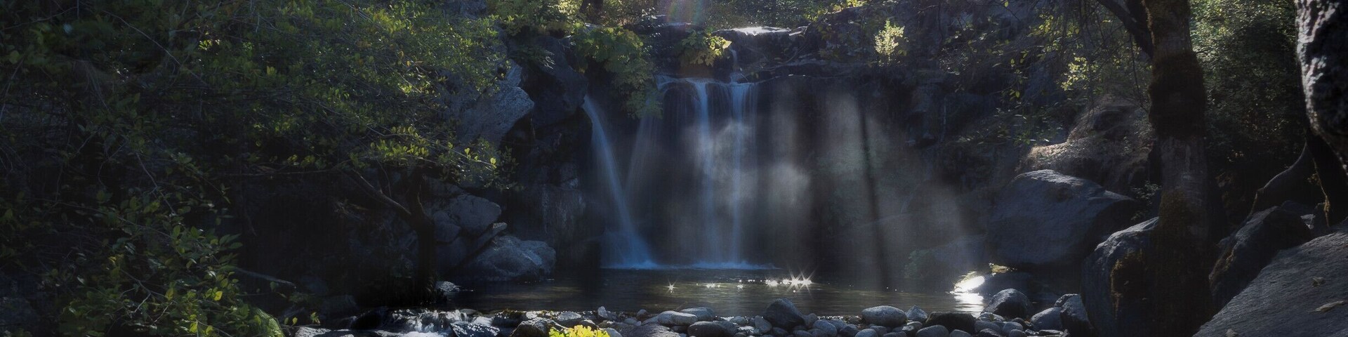 A forested area with a waterfall and a stream.