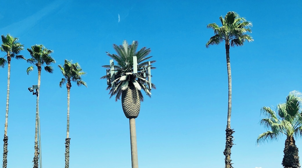 One of these is not like the others 😆