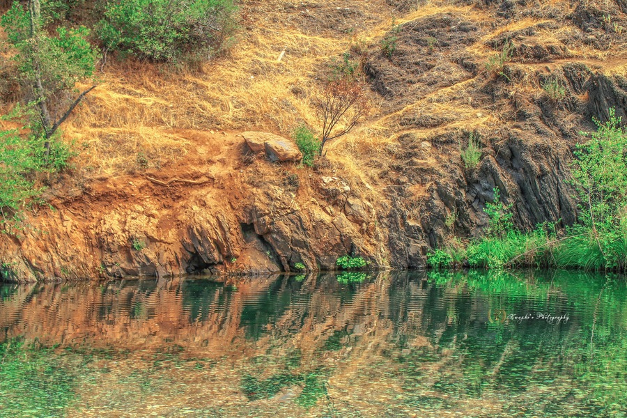 #river #ducks #rocks #airfresh #colors #green