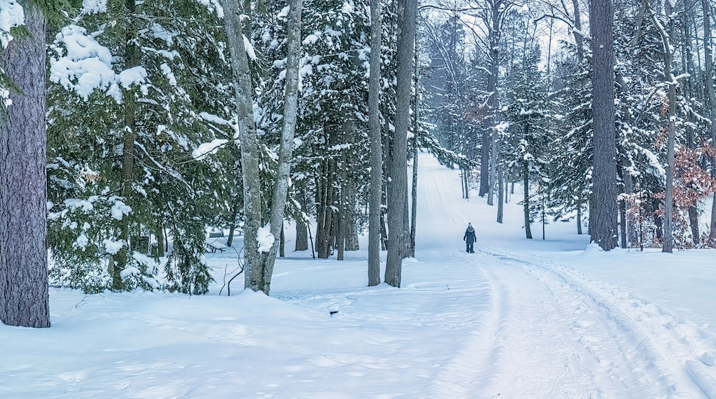 Snowshoeing in Interlochen State Park, northern Michigan, Winter.