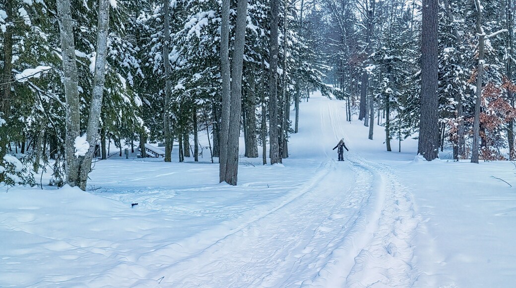 Snowshoeing in Interlochen State Park, northern Michigan, Winter.