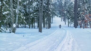 Snowshoeing in Interlochen State Park, northern Michigan, Winter.