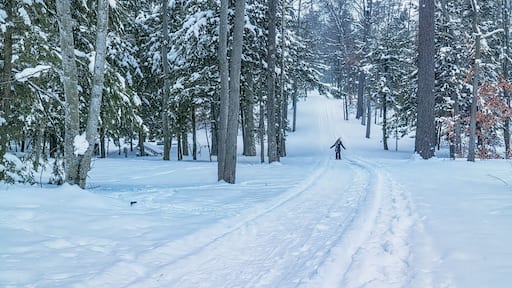 Snowshoeing in Interlochen State Park, northern Michigan, Winter.