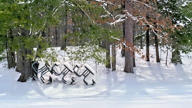 Interlochen State Park, Winter, Michigan. Three snow covered picnic tables leaned against a tree.