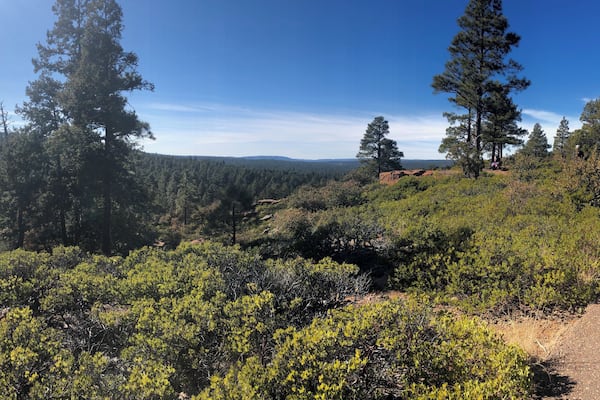 Took a short hike down the Mogollon Rim today. Very easy path, mostly paved, beautiful views