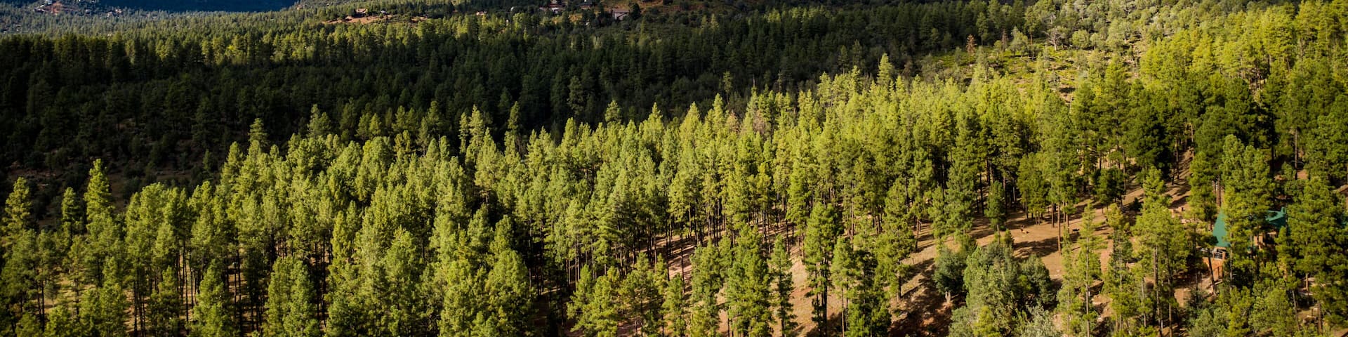 Aerial view of the Tonto National Forest from above the Pine Trailhead in Arizona with blue sky, white clouds and green ponderosa pines