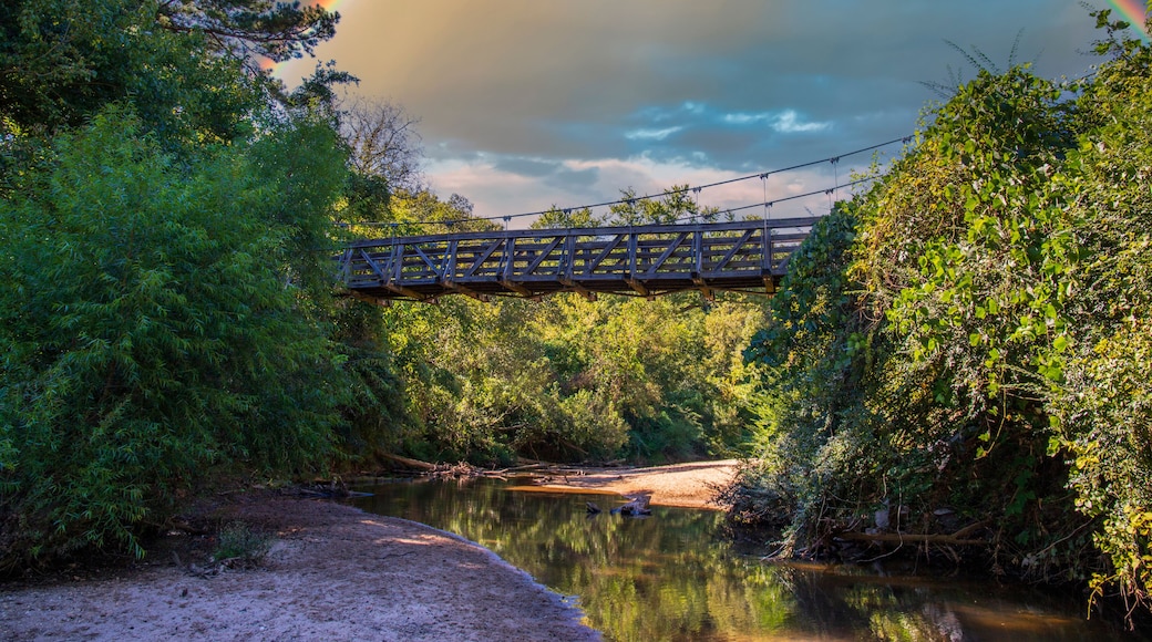 a brown wooden suspension bridge over the clear waters of the South Fork Peachtree Creek surrounded by lush green tree, grass and plants and sand along the banks with blue sky, clouds and a rainbow