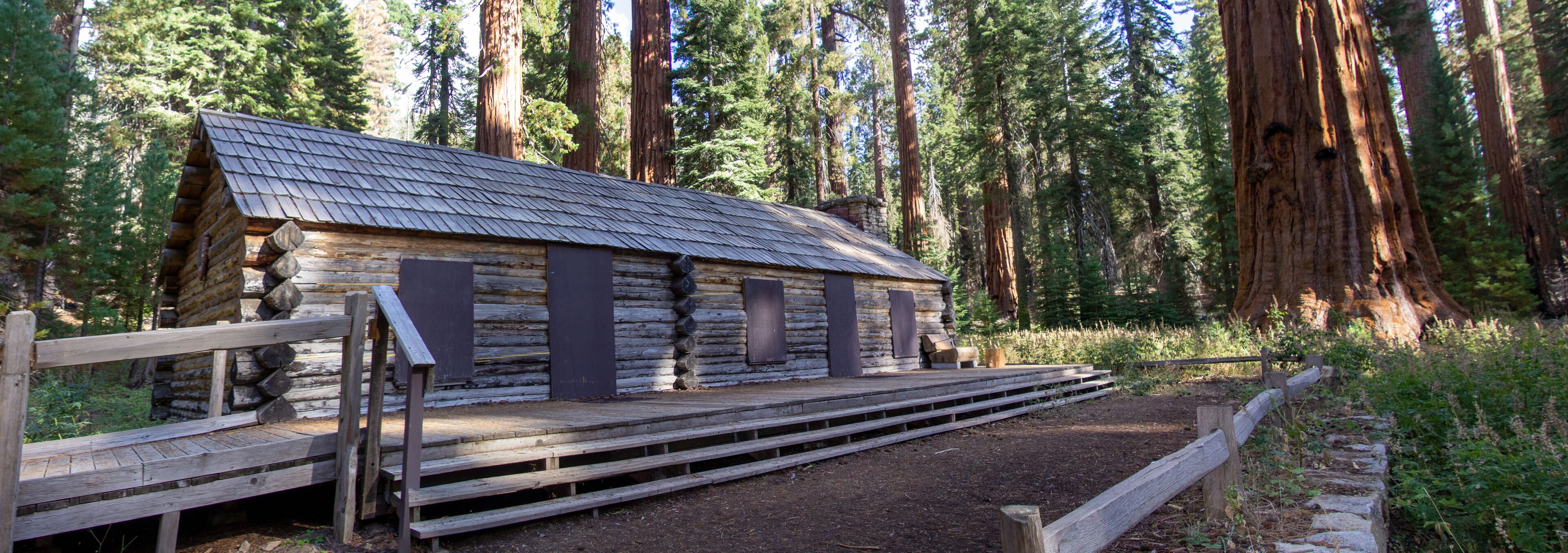 A rustic log cabin with a metal roof, surrounded by tall trees and a wooden fence.