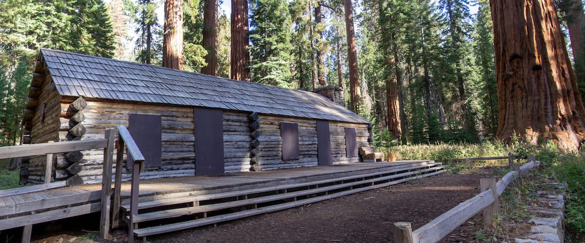 A rustic log cabin with a metal roof, surrounded by tall trees and a wooden fence.
