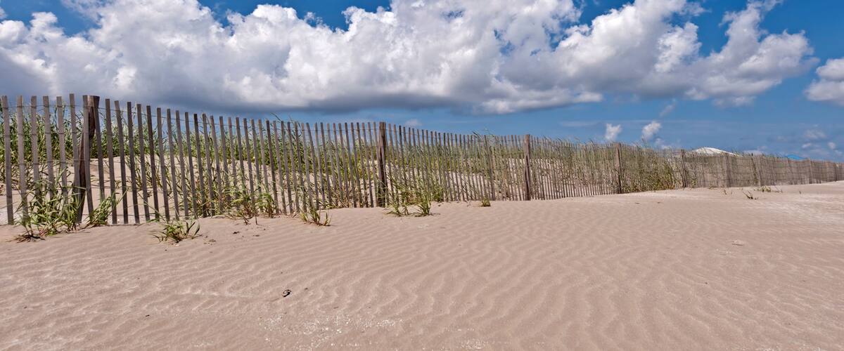 A sandy beach with a wooden fence and sparse vegetation.