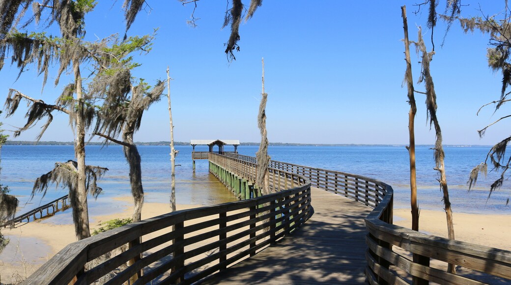 Comté de Saint Johns
