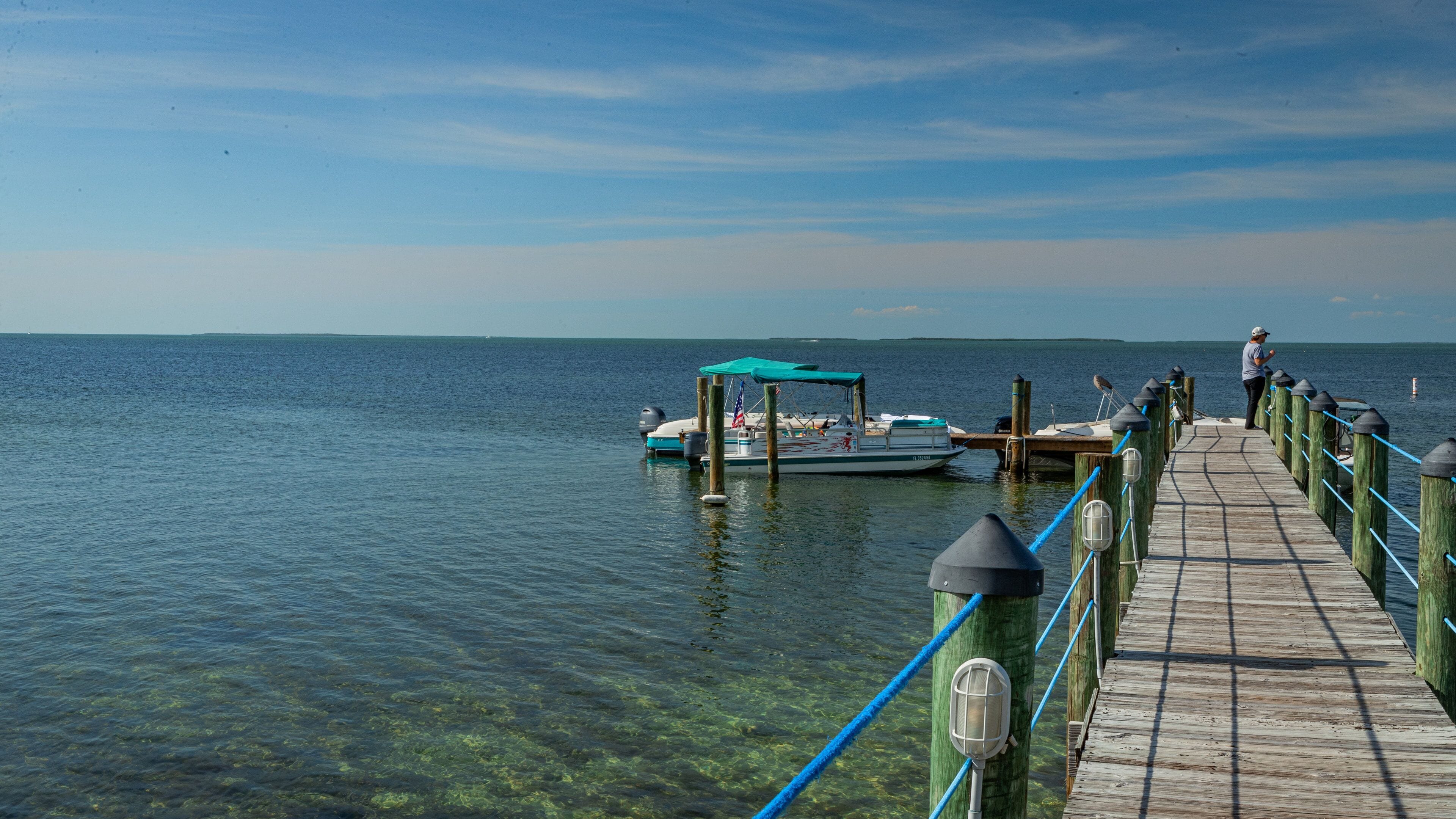 Plantation Key showing general coastal views