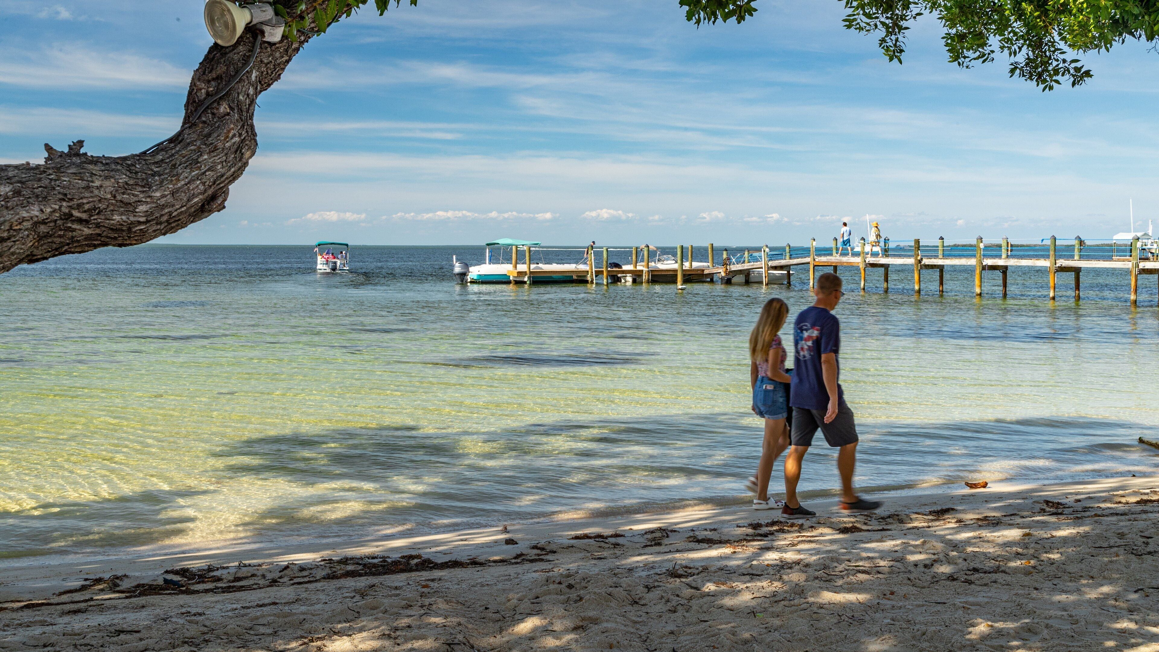 Plantation Key which includes a sandy beach and general coastal views as well as a couple