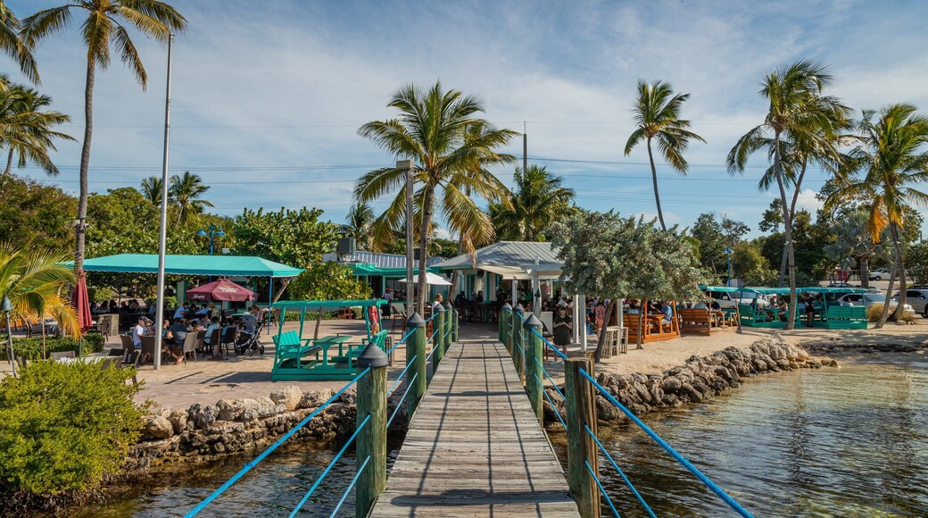 Plantation Key showing a river or creek