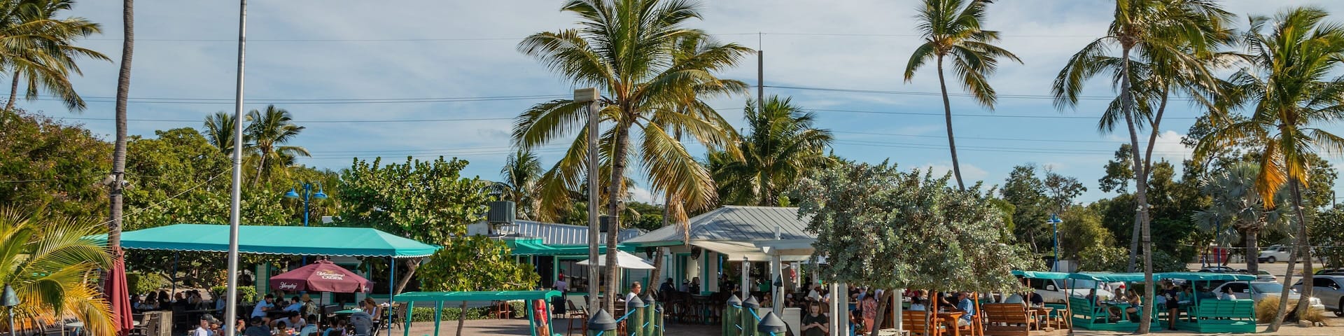 Plantation Key showing a river or creek