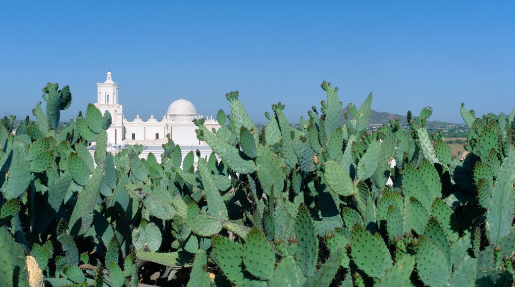 ํผ๋ง ์นด์ดํฐ