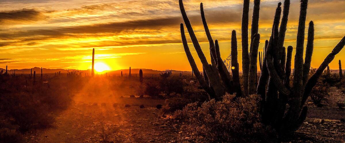 Nothing like a desert sunrise. #arizona #desert #sunrise #adventure #greatoutdoors #camping
