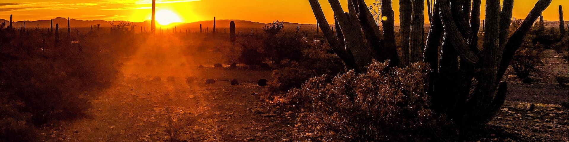 Nothing like a desert sunrise. #arizona #desert #sunrise #adventure #greatoutdoors #camping