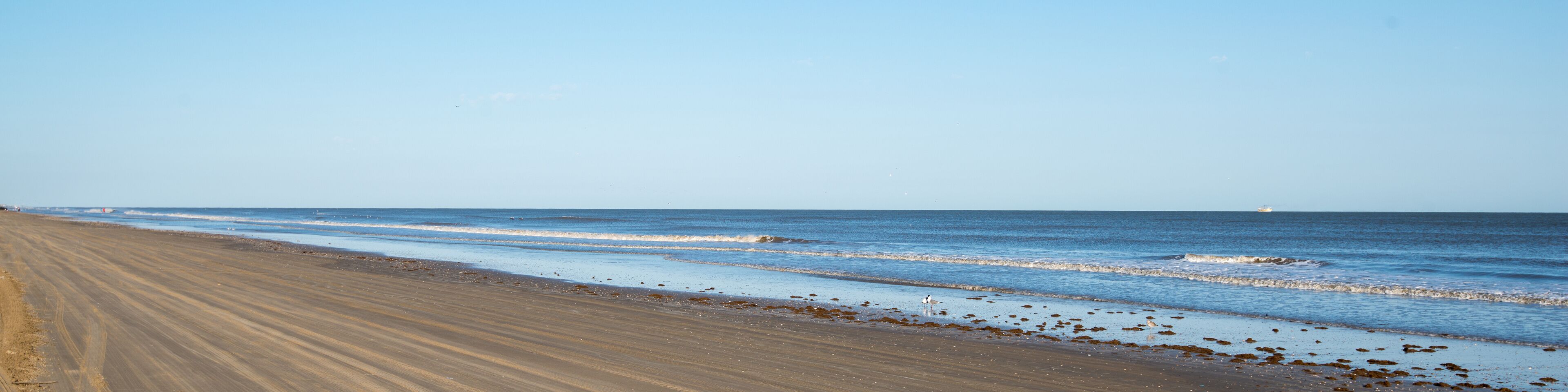 A sandy beach with waves, a distant ship, and a clear sky.