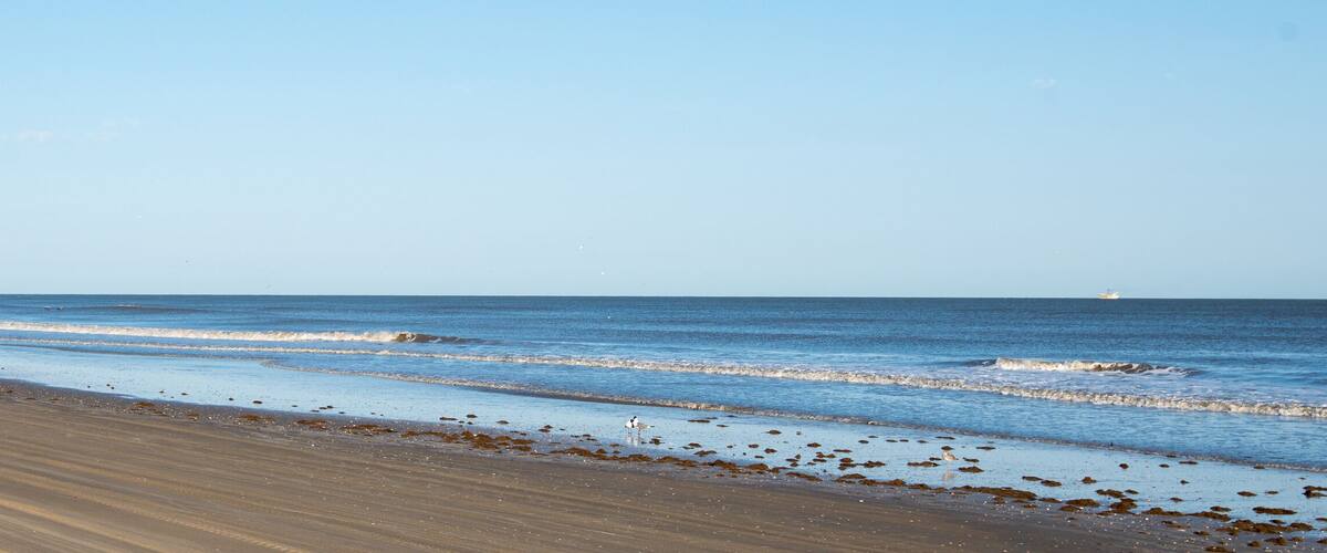A sandy beach with waves, a distant ship, and a clear sky.