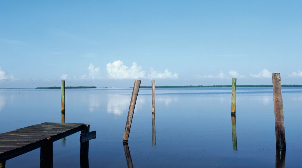 This is the morning view of Pine Island Sound. Its pier juts out from the left side with wooden pylons standing up out of the water near the shore.