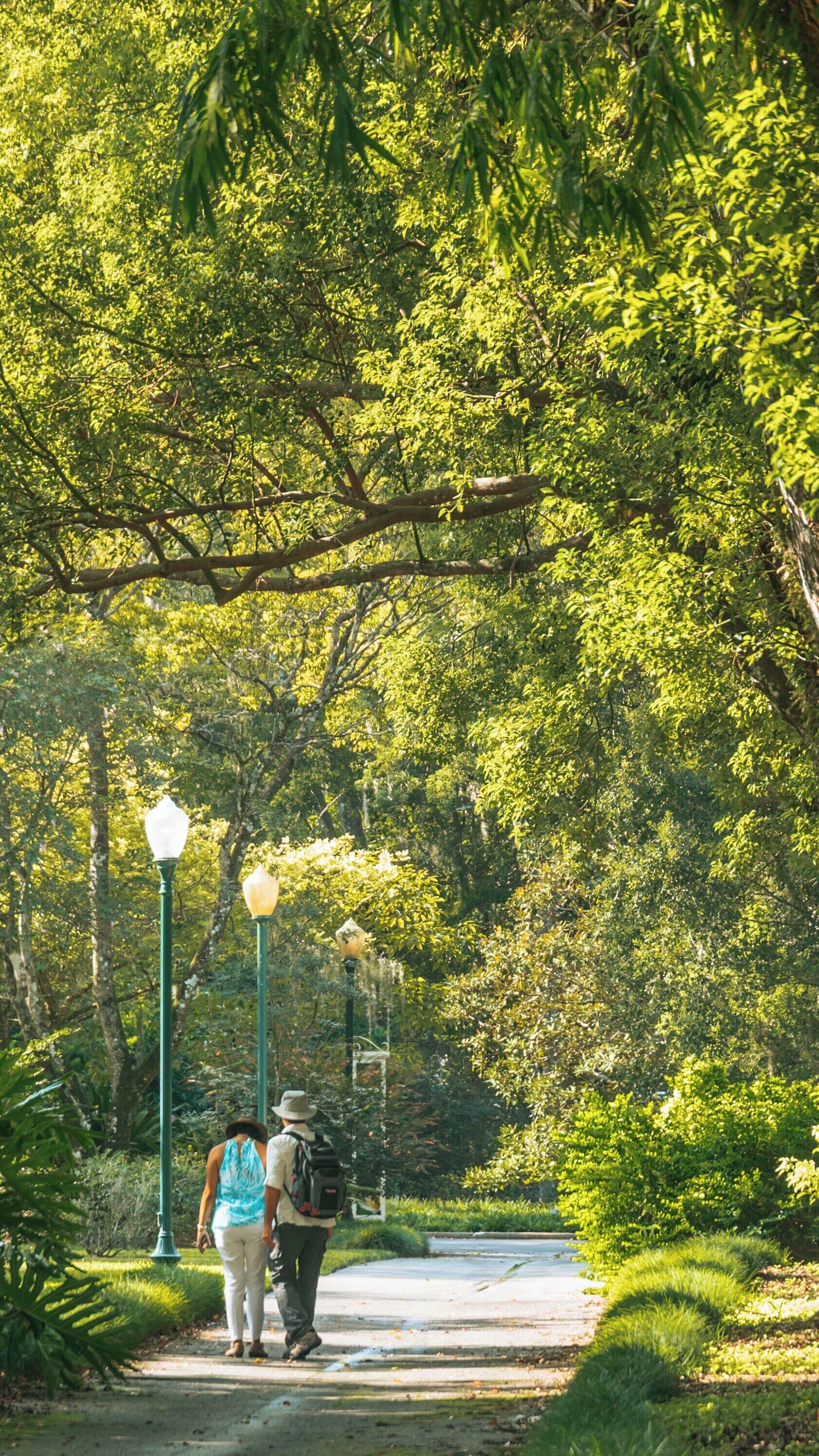 Couple enjoying a stroll under the lush trees at Harry P. Leu Gardens in Downtown Orlando, Florida during a sunny day