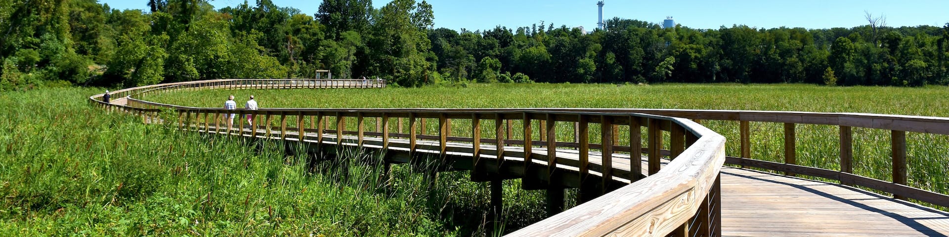 A wooden boardwalk curving through a grassy field with trees in the background.
