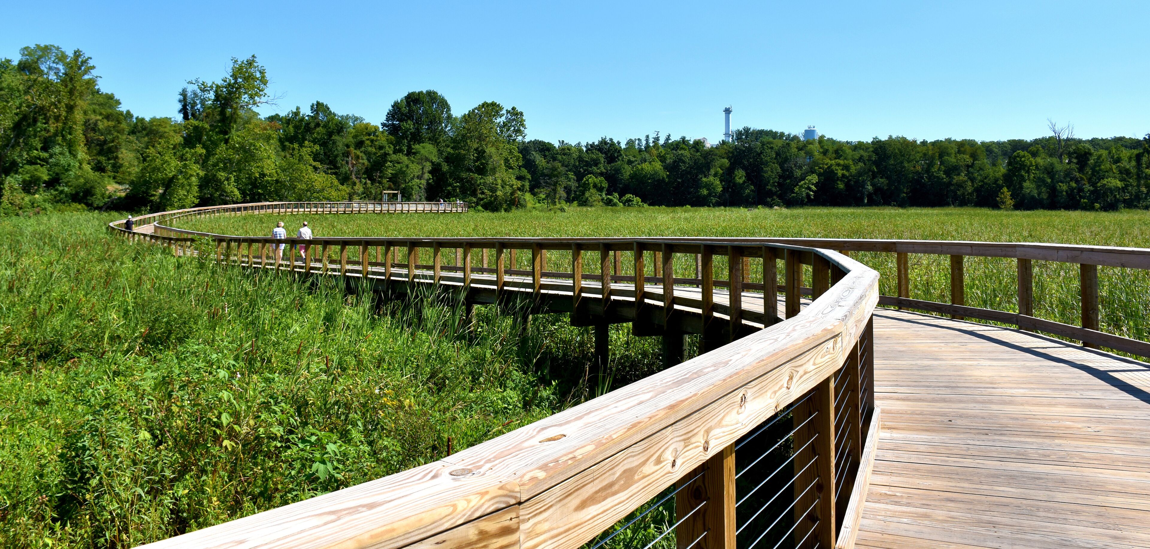 A wooden boardwalk curving through a grassy field with trees in the background.