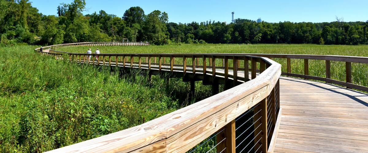 A wooden boardwalk curving through a grassy field with trees in the background.