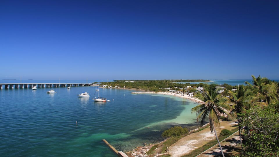 A coastal area with clear turquoise waters, a pier, boats, and palm trees.