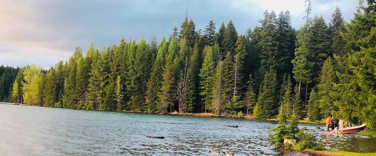 Beautiful nature 🌲🐾