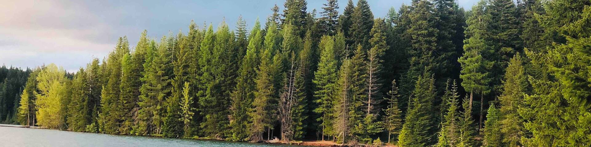 Beautiful nature 🌲🐾