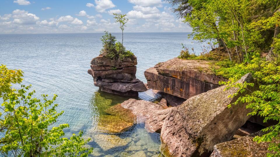 A rocky shoreline with clear water, a small tree on a rock formation, and lush greenery.
