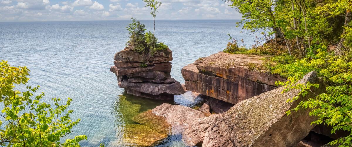 A rocky shoreline with clear water, a small tree on a rock formation, and lush greenery.