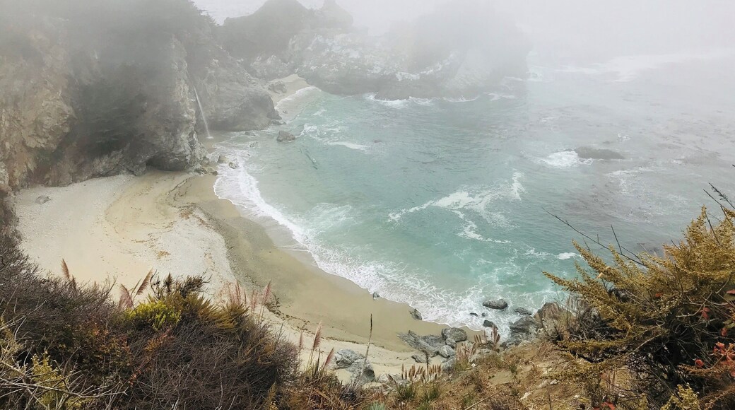 Foggy morning at Big Sur, California.
You can't get down to the beach, but there is an overlook right off the road you can hike down a bit to see the great views!
#lifeatexpedia