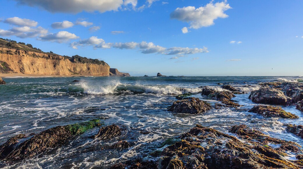 Many beautiful locations along Route 1 to view the rugged coastline of the Pacific Ocean