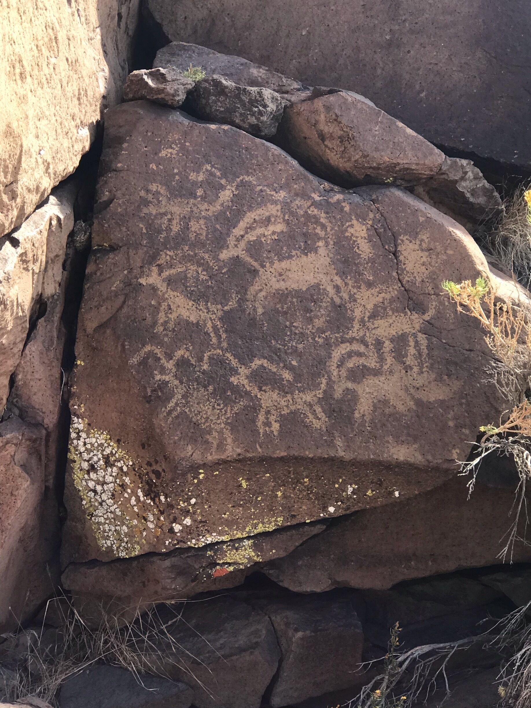 Amazing petroglyphs.