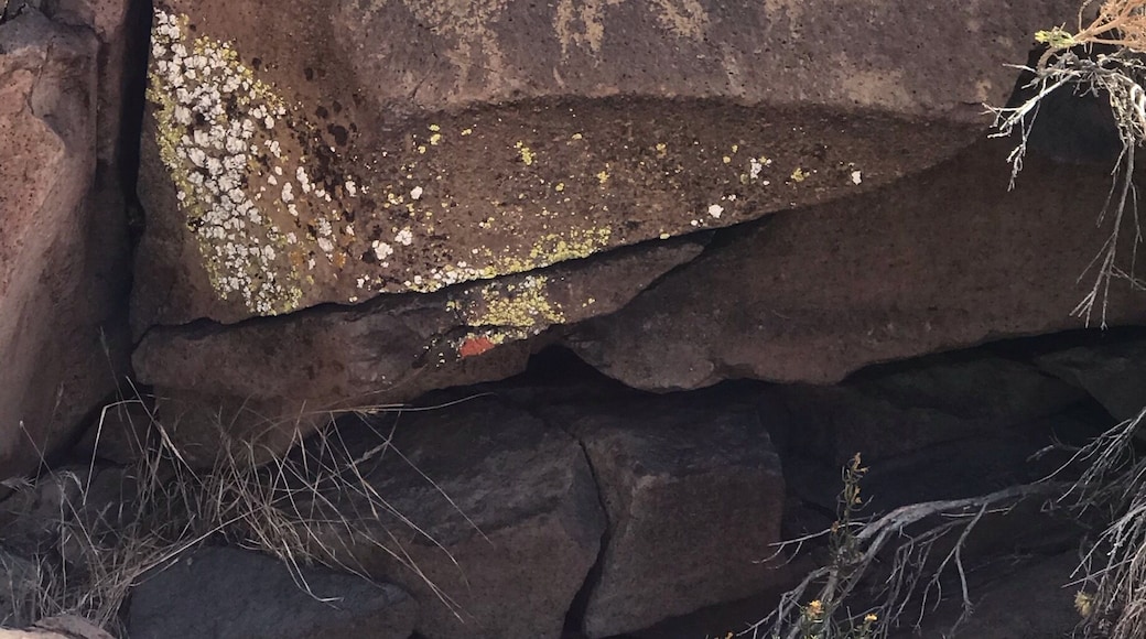 Amazing petroglyphs.
