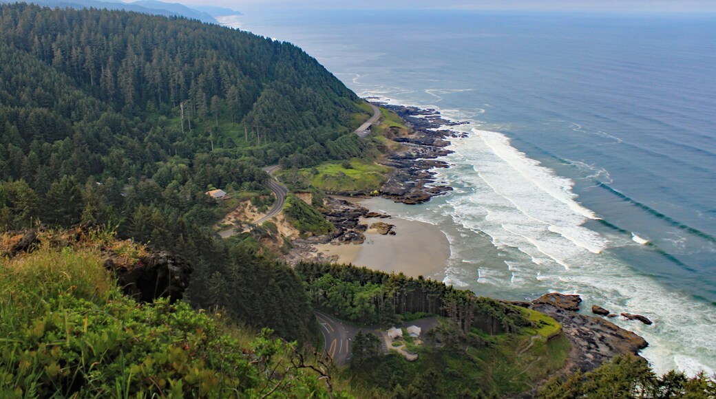 Cloudy morning out of earshot from the waves. #aboveitall
