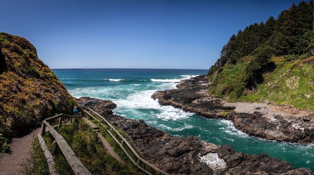 Scenic Coastal View with Rocky Shoreline and Ocean