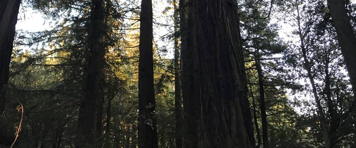 Most favorite campground in California.