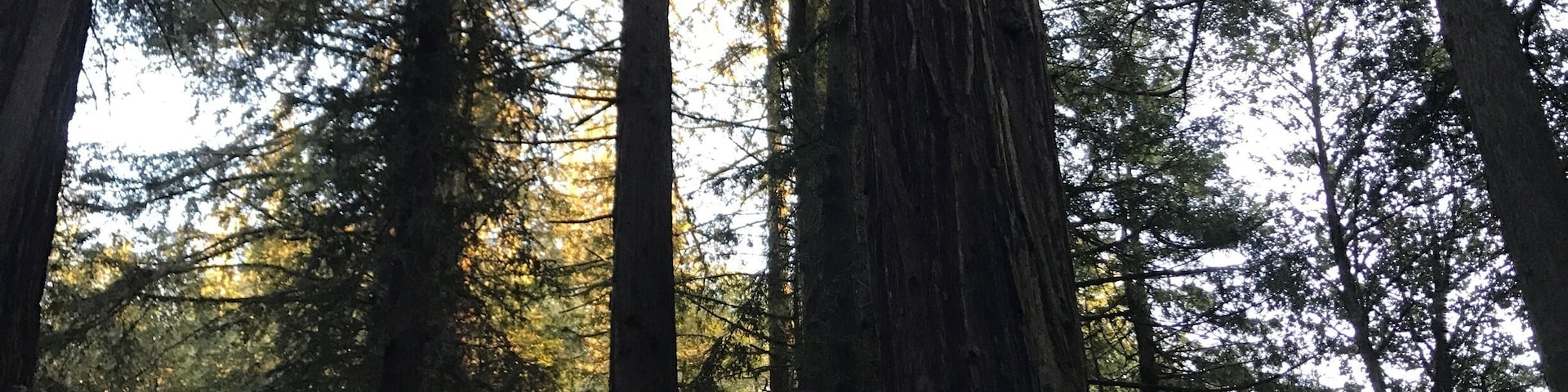 Most favorite campground in California.