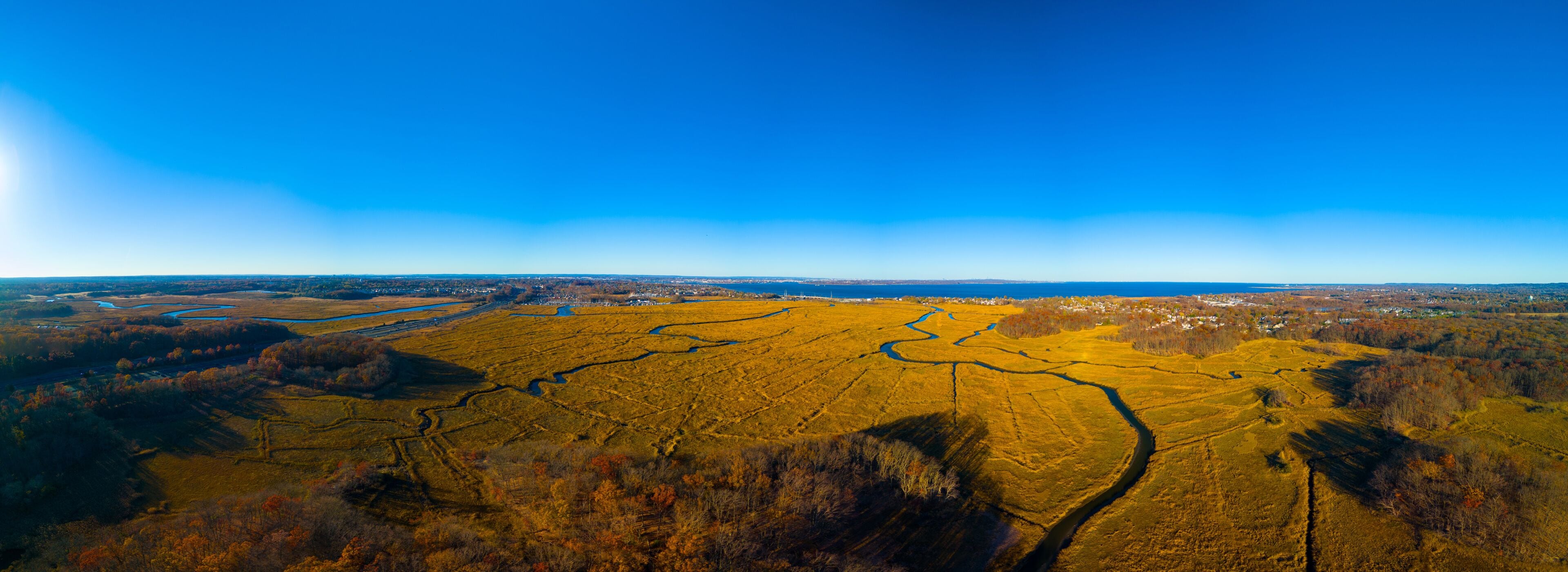 Golden Autumn Marshes at Cheesequake State Park