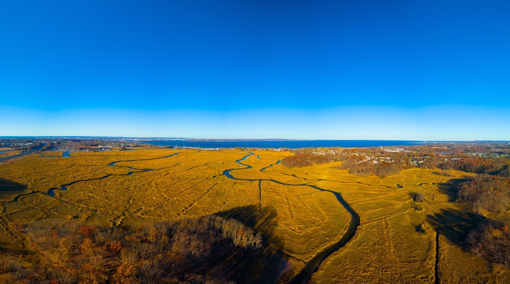 Golden Autumn Marshes at Cheesequake State Park