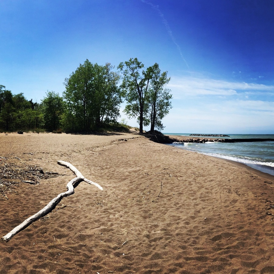 Post luncheon stroll. #travelbug #wayfarer #wanderlust #gadabout #beach #presqueile #southshore #lakeerie #pennsylvania #naturewalk #nature